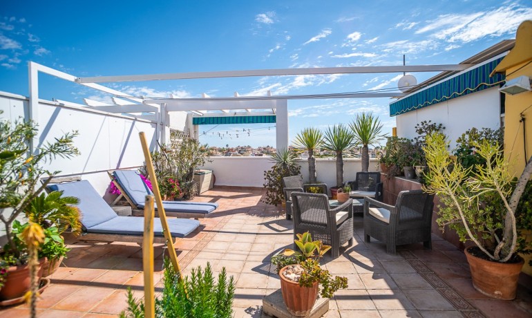 Venta - Apartamento / piso -
ALICANTE - La Florida