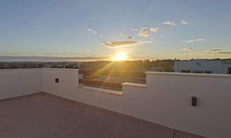 Nueva construcción  - Villa -
Los Montesinos - La Herrada