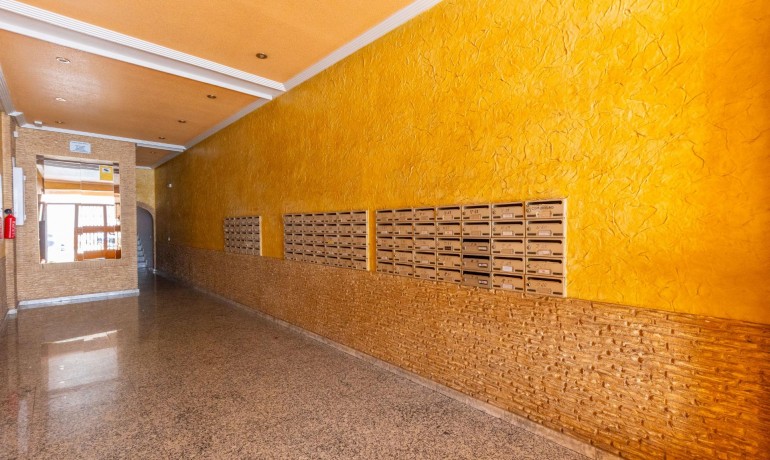 Sale - Apartment / Flat -
Torrevieja* - Estacion de autobuses