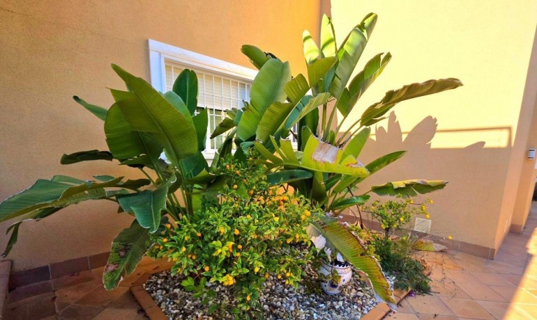 Venta - Villa -
Dehesa de campoamor - Campoamor