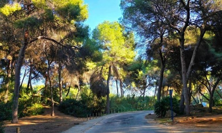 Venta - Villa -
Dehesa de campoamor - Campoamor