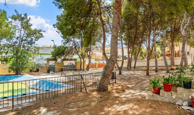 Venta - Villa -
Torrevieja - Los Balcones - Los Altos del Edén