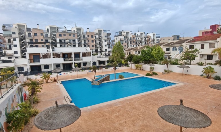 Venta - Apartamento / piso -
Pilar de La Horadada - Mil Palmeras