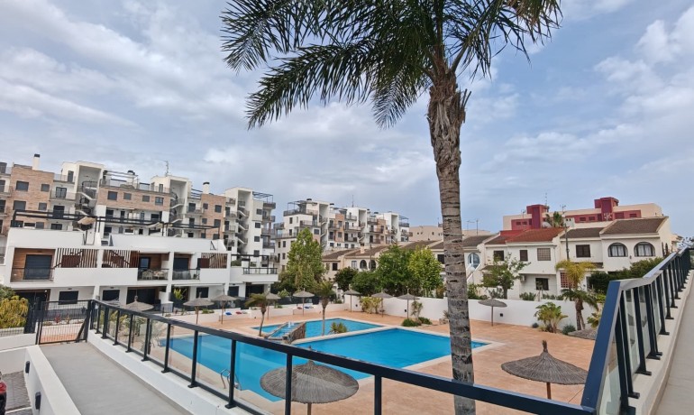 Venta - Apartamento / piso -
Pilar de La Horadada - Mil Palmeras