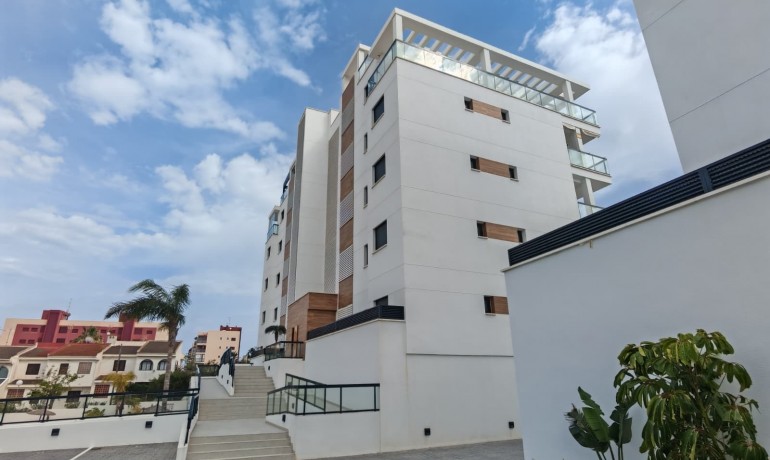 Venta - Apartamento / piso -
Pilar de La Horadada - Mil Palmeras
