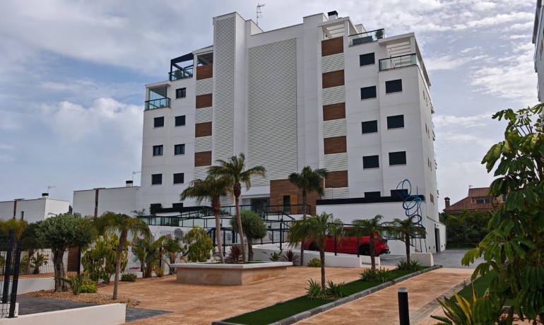 Venta - Apartamento / piso -
Pilar de La Horadada - Mil Palmeras