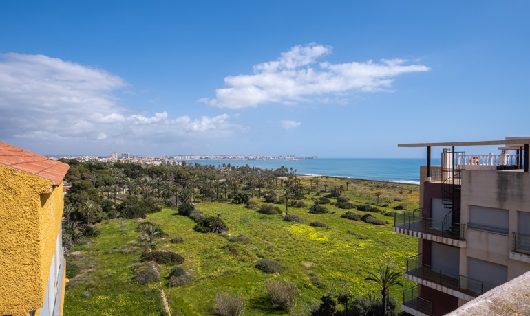 Revente - Appartement / Flat -
Orihuela Costa* - Punta Prima