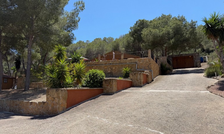 Sale - Finca / Country Property -
Orihuela* - Torremendo