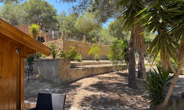 Sale - Finca / Country Property -
Orihuela* - Torremendo