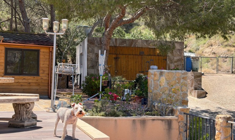 Sale - Finca / Country Property -
Orihuela* - Torremendo