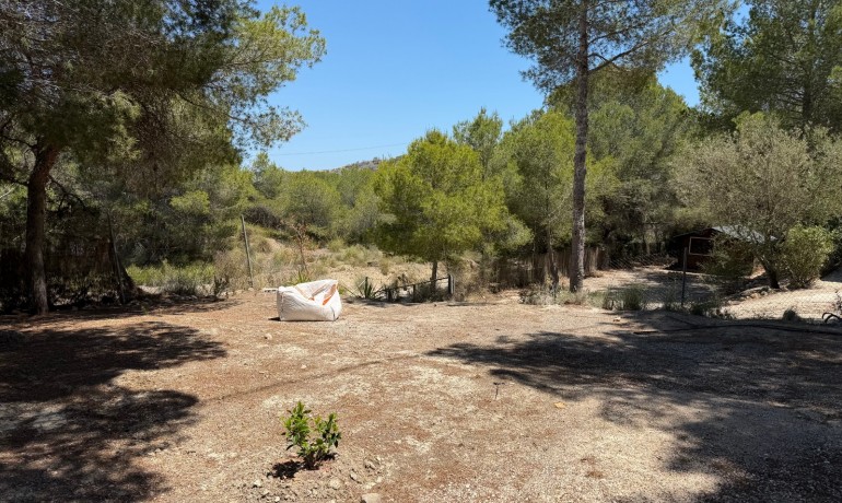 Sale - Finca / Country Property -
Orihuela* - Torremendo