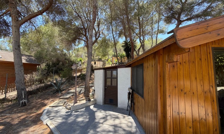 Sale - Finca / Country Property -
Orihuela* - Torremendo