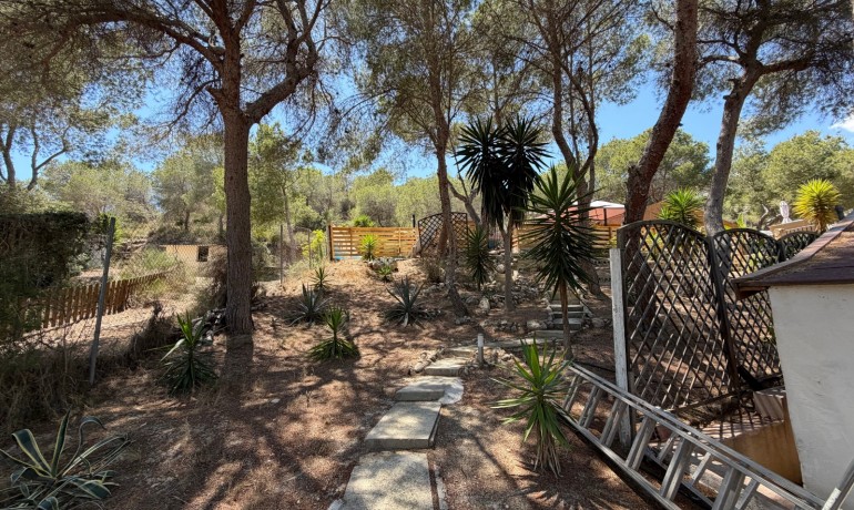 Sale - Finca / Country Property -
Orihuela* - Torremendo