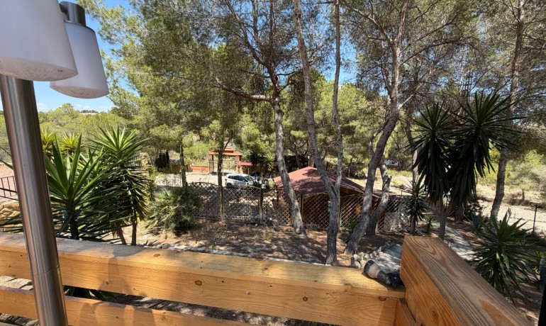 Sale - Finca / Country Property -
Orihuela* - Torremendo