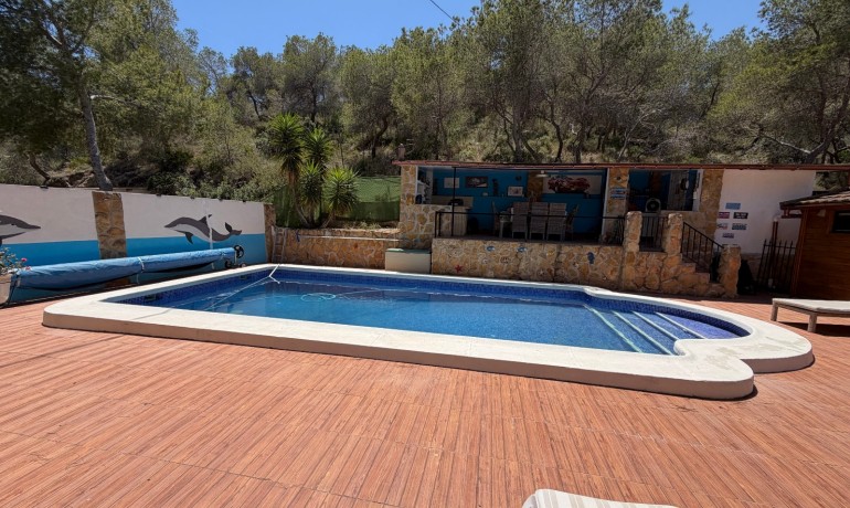 Sale - Finca / Country Property -
Orihuela* - Torremendo