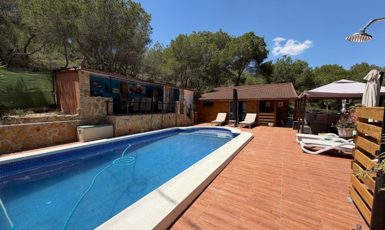 Sale - Finca / Country Property -
Orihuela* - Torremendo