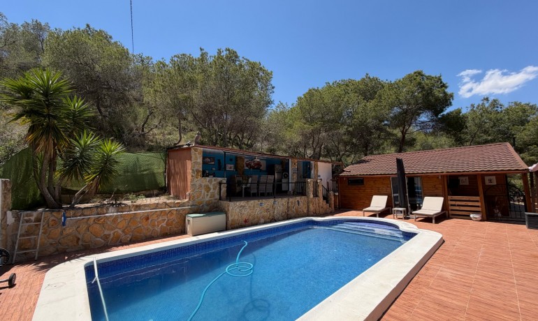Sale - Finca / Country Property -
Orihuela* - Torremendo