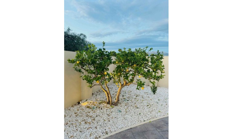 Sale - Villa -
L´Alfàs del Pí* - pueblo