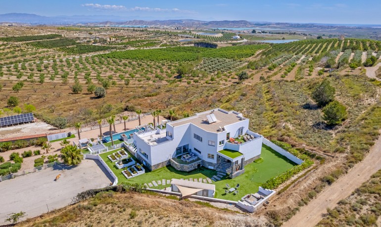 Herverkoop - Villa -
Torremendo