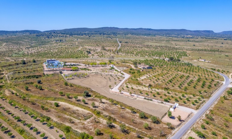 Herverkoop - Villa -
Torremendo