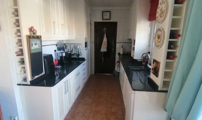 Venta - Villa -
San Miguel de Salinas - San Miguel De Salinas