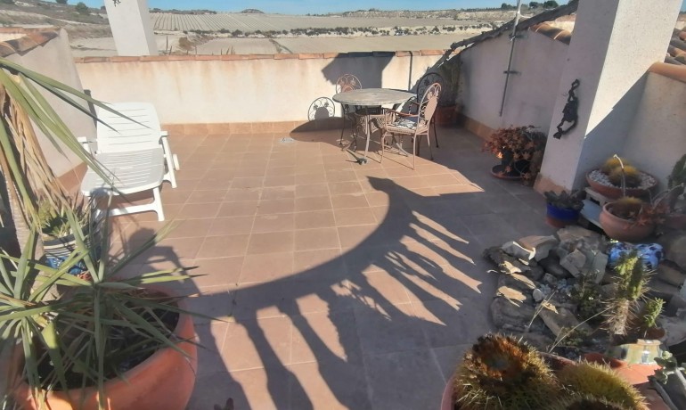 Venta - Villa -
San Miguel de Salinas - San Miguel De Salinas