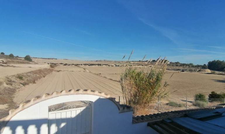 Venta - Villa -
San Miguel de Salinas - San Miguel De Salinas