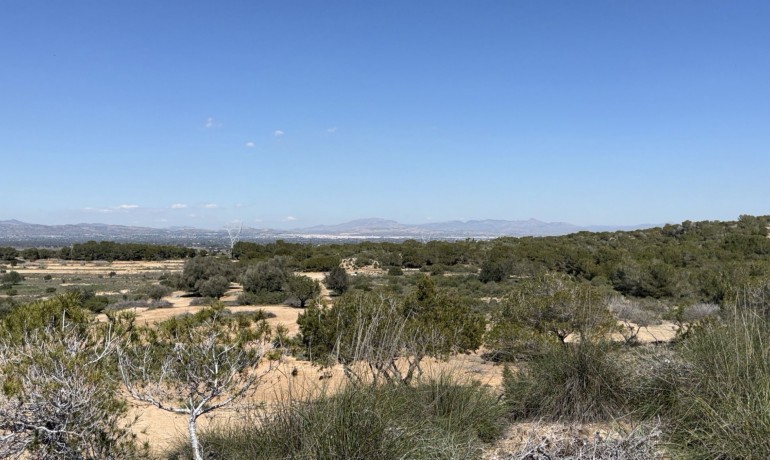 Venta - Land and Plots -
San Fulgencio - La Marina
