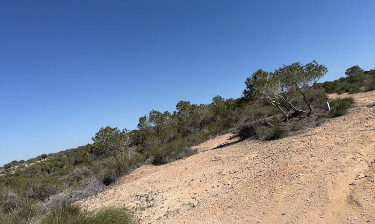 Venta - Land and Plots -
San Fulgencio - La Marina