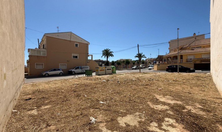 Venta - Plot -
San Miguel de Salinas - CENTRO URBANO