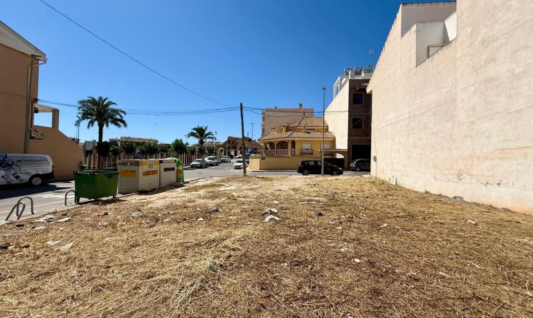 Venta - Plot -
San Miguel de Salinas - CENTRO URBANO