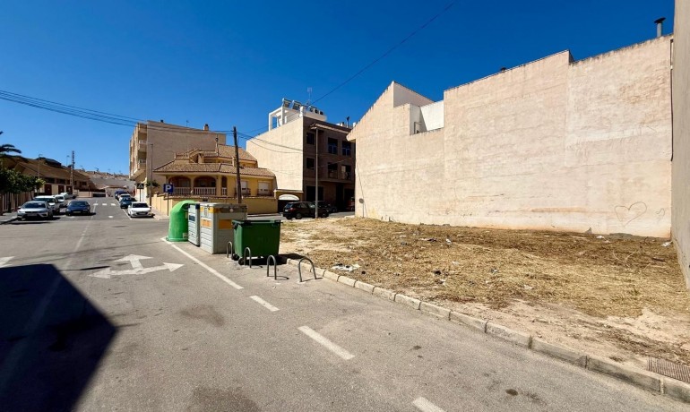 Venta - Plot -
San Miguel de Salinas - CENTRO URBANO