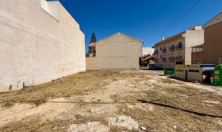 Venta - Plot -
San Miguel de Salinas - CENTRO URBANO