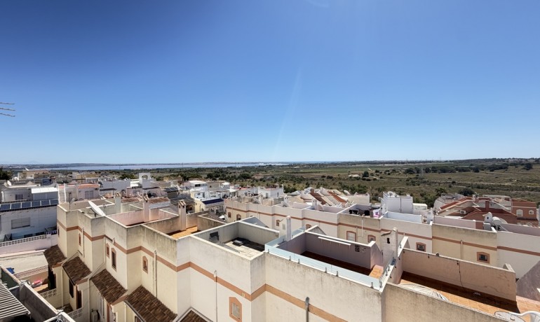 Sale - House -
San Miguel de Salinas* - San Miguel De Salinas