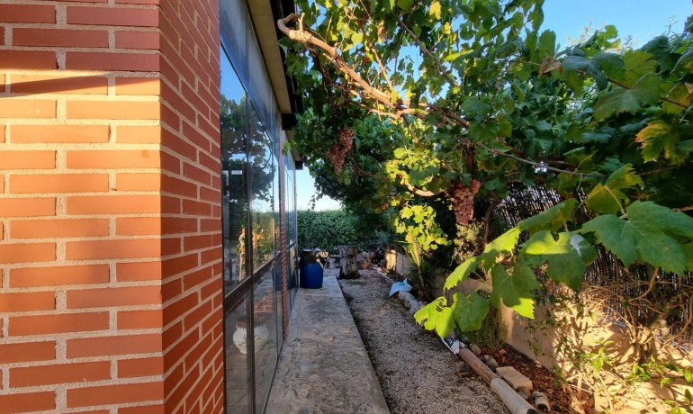Sale - House -
Orihuela* - Benferri