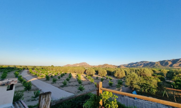 Sale - House -
Orihuela* - Benferri