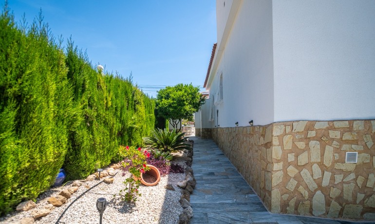 Venta - Casa -
La Marina - LA MARINA