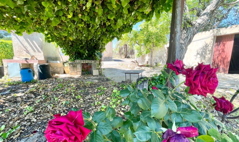 Sale - Villa -
La Romana - Villas de la Romana