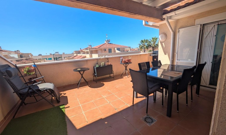 Revente - Appartement / Flat -
Playa Flamenca
