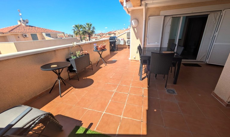Revente - Appartement / Flat -
Playa Flamenca
