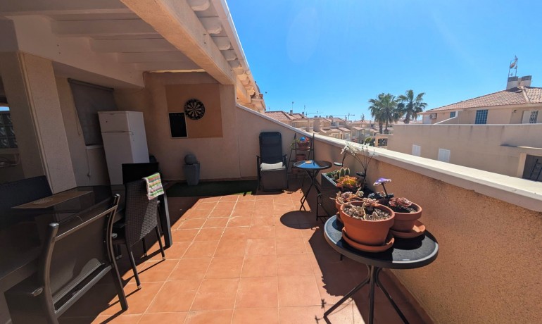 Revente - Appartement / Flat -
Playa Flamenca
