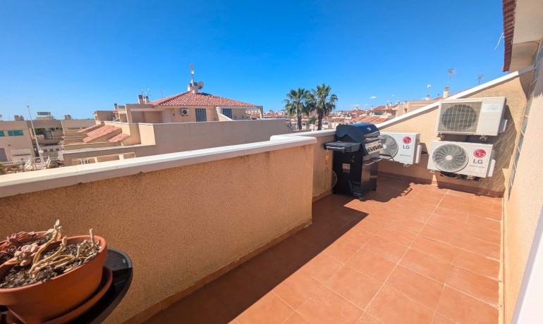 Revente - Appartement / Flat -
Playa Flamenca