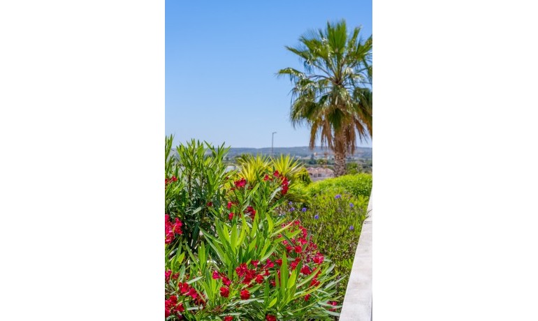 Sale - Villa -
La Marina* - La Marina