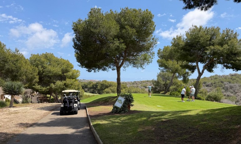 Sale - Apartment / Flat -
Las Ramblas Golf - Orihuela Costa