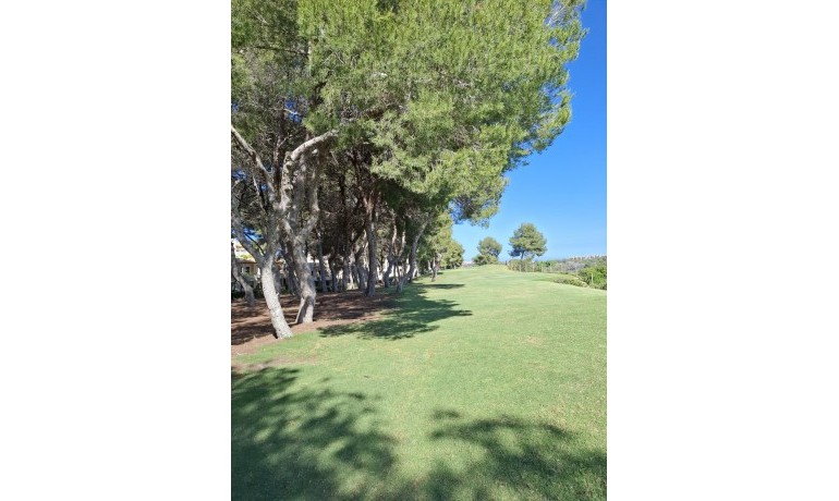 Sale - Apartment / Flat -
Las Ramblas Golf - Orihuela Costa