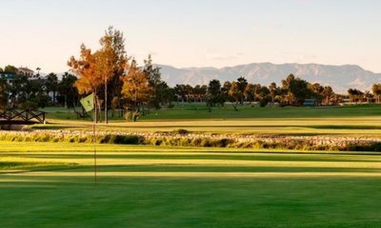 Sale - Villa -
Ciudad Quesada - La Fiesta