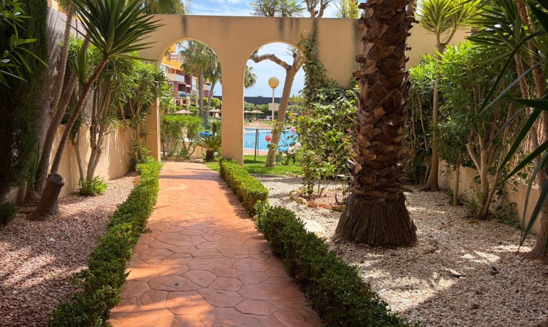 Sale - Apartment / Flat -
Orihuela* - Punta Prima