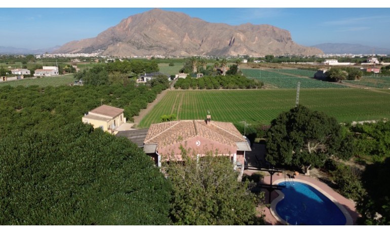 Sale - Finca / Country Property -
Orihuela - San Bartolome