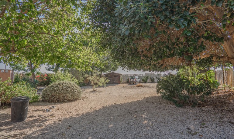 Sale - Finca / Country Property -
Orihuela - San Bartolome
