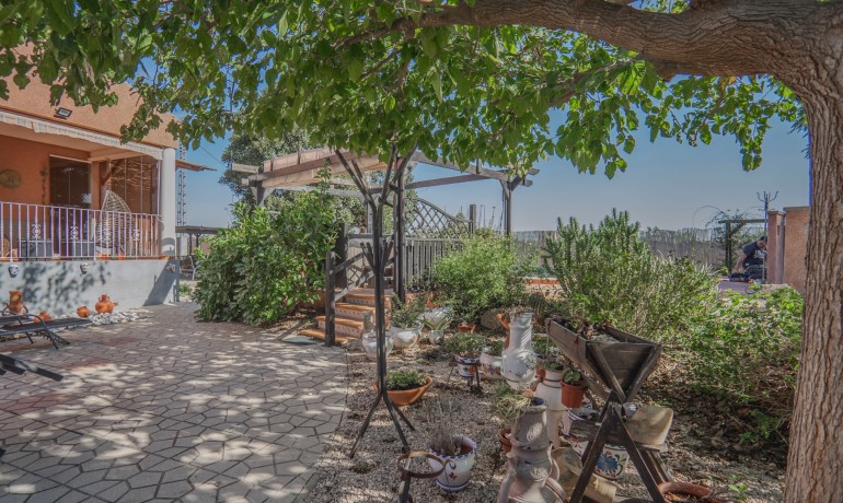 Sale - Finca / Country Property -
Orihuela - San Bartolome